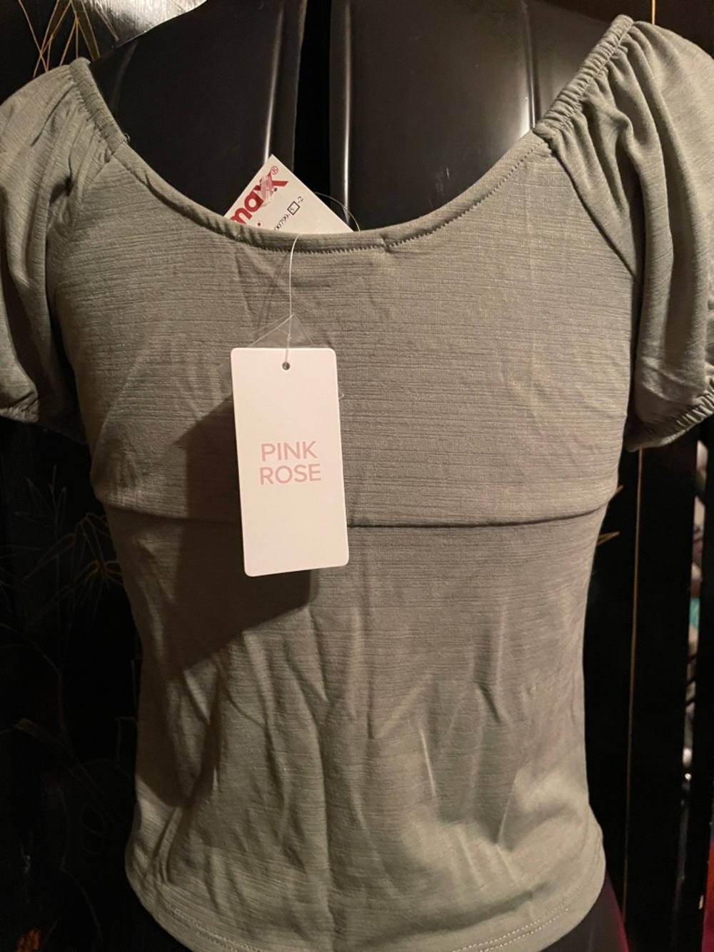 NWT Pink Rose Sage Green Short Sleeve Scoop Neck Top - Picture 4 of 6